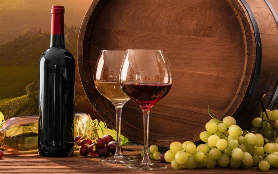 Vini italiani, un trend in crescita