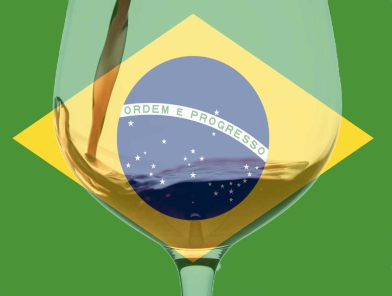 Brasile: la nuova frontiera del mondo del vino